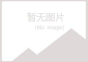 日照岚山千城化学有限公司